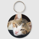 Search for tortoiseshell keychains Kitten