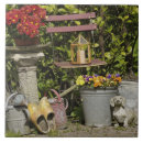 Recherche de chaussures carreaux Holland