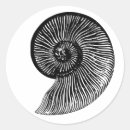 Search for fossil stickers Shell