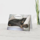 Recherche de humour médecin bon rétablissement cartes Chien