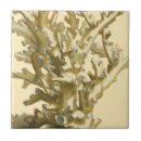 Recherche de peinture marine carreaux Récif de corail