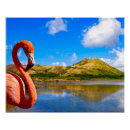 Recherche de flamingo posters Flamants