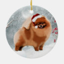 Search for pomeranian ornaments Breed