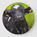 Search for fresian Cow