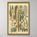 Recherche de vintage paon posters Plumes