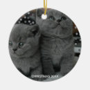 Search for grey kitten ornaments Modern