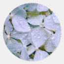 Search for beautiful christmas stickers Floral