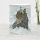 Search for squirrel cards Snow