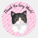 Search for cute cat graphic stickers Kitty