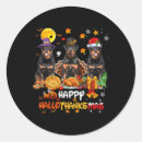 Search for cartoon pie stickers Pumpkin