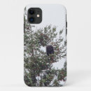 Search for bald eagle cases Tree
