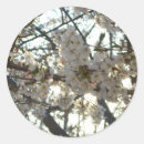 Search for evening stickers Floral