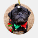 Search for black pug ornaments Cute