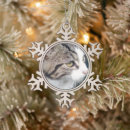 Search for furry animal ornaments Cute