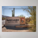 Recherche de saguaro posters Désert de sonoran