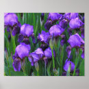 Recherche de impressionnistes posters Floral