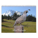 Search for goose calendars Eagle