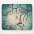 Recherche de doves tapis souris Faune