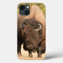 Recherche de foyer coques Photographie