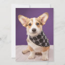 Search for corgi thank you cards Canine