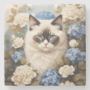 Search for ragdoll coasters Feline