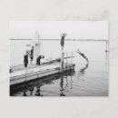Search for dives postcards Beach