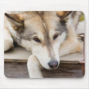 Recherche de jul tapis souris Extérieur
