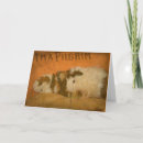 Search for pig thanksgiving cards Pumpkin