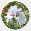 Search for orange mums stickers Green