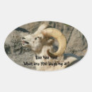 Search for oval face stickers Smiling