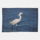 Recherche de aigles cuisine linges Faune