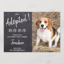 Recherche de paille invitations Chien