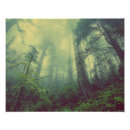 Search for misty trees posters Forest