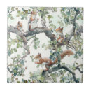 Recherche de écureuil carreaux Automne