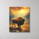Recherche de bison toiles Wyoming