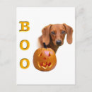 Recherche de lisse cartes postales Dog