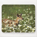 Recherche de concentration tapis souris Faune