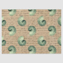 Search for spiral tissue paper Craft