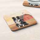 Search for border collie coasters Dog lover