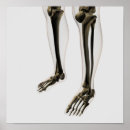 Recherche de basse section posters 3d