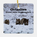 Search for grizzly bear ornaments Wyoming