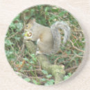 Search for acorn coasters Cute