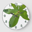 Recherche de grenouille verte horloges Amphibien
