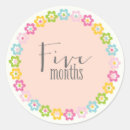 Search for five months Pink