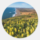 Search for pacific ocean stickers Blue sky