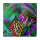 Recherche de bulle carreaux Coloré