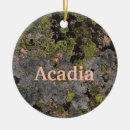 Search for harbor ornaments Coast