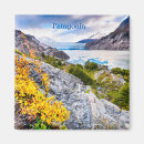 Search for paine magnets Nature