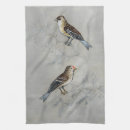 Search for aviary kitchen dining Domestic
