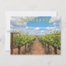Search for grapevine horizontal postcards Vines